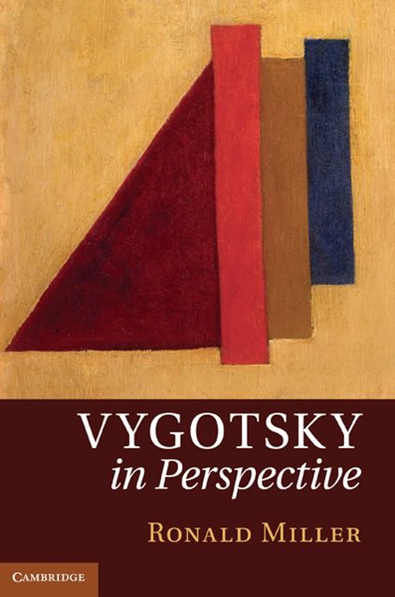 Vygotsky Perspective
