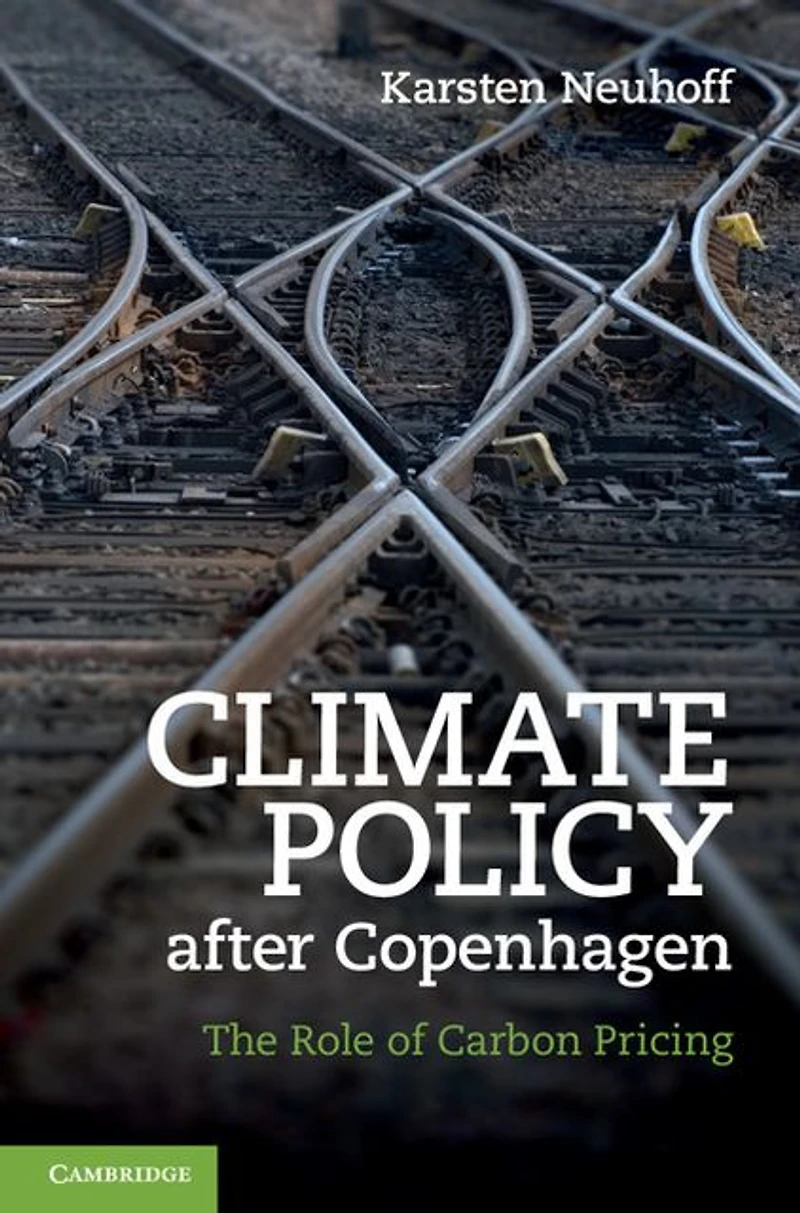 Climate Policy after Copenhagen: The Role of Carbon Pricing