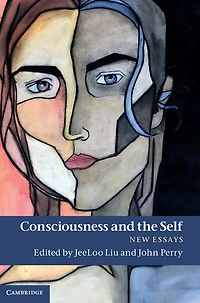 Consciousness and the Self: New Essays