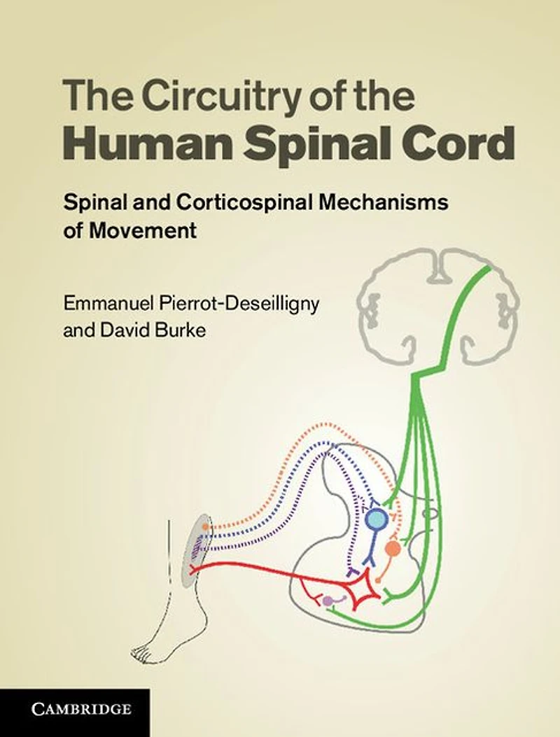 The Circuitry of the Human Spinal Cord: Spinal and Corticospinal Mechanisms of Movement