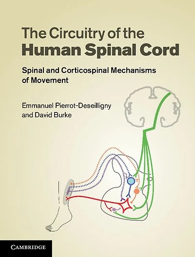 The Circuitry of the Human Spinal Cord: Spinal and Corticospinal Mechanisms of Movement