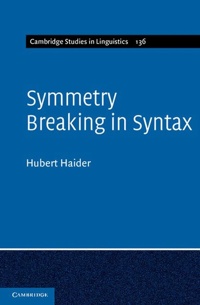 Symmetry Breaking Syntax
