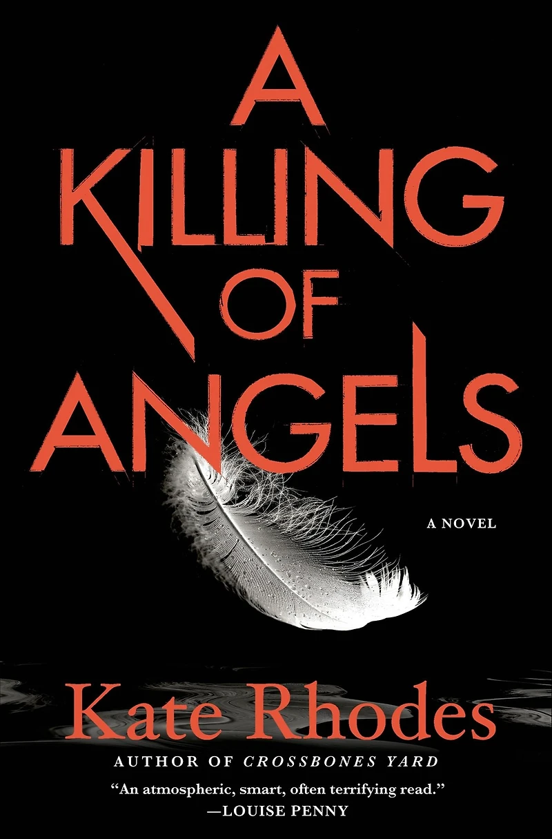 A Killing of Angels: A Novel