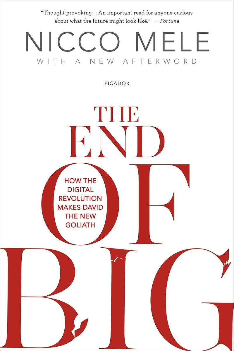 the End of Big: How Internet Makes David New Goliath