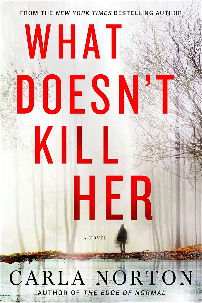 What Doesn't Kill Her: A Novel