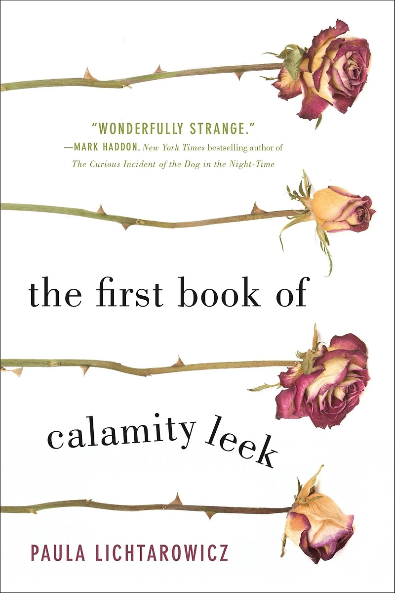 The First Book of Calamity Leek: A Novel