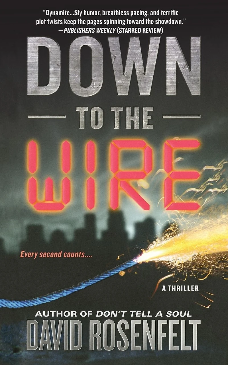Down to the Wire: A Thriller
