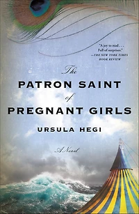 The Patron Saint of Pregnant Girls: A Novel