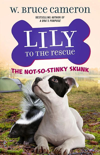 the Not-So-Stinky Skunk (Lily to Rescue! Series #3)