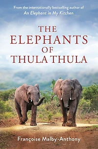 The Elephants of Thula