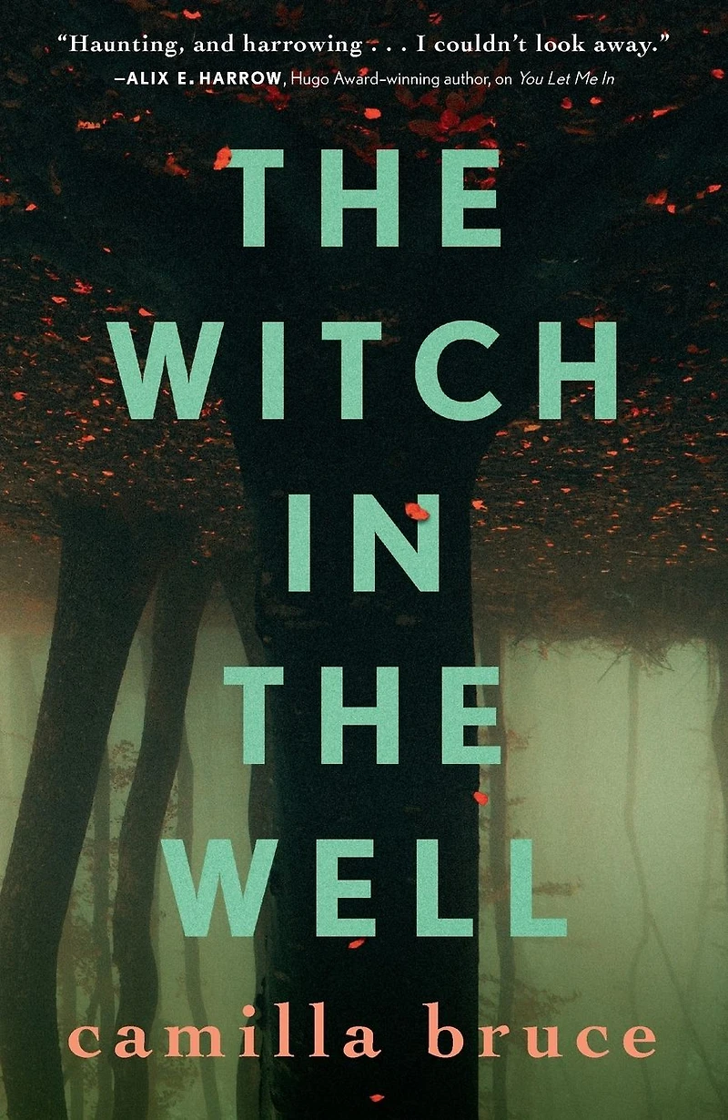 the Witch Well