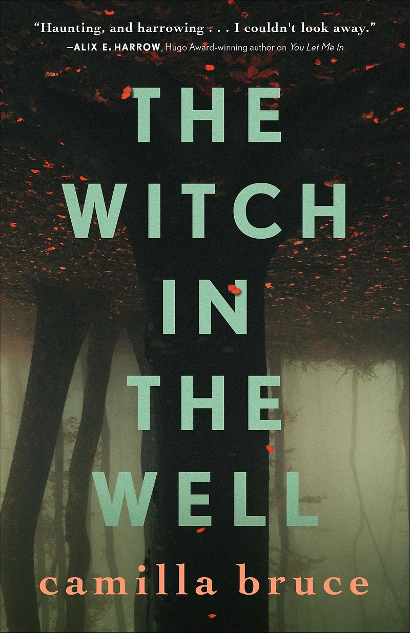 the Witch Well