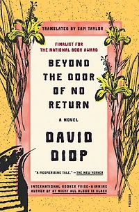Beyond the Door of No Return: A Novel