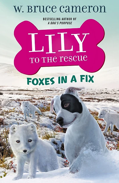 Lily to the Rescue: Foxes a Fix