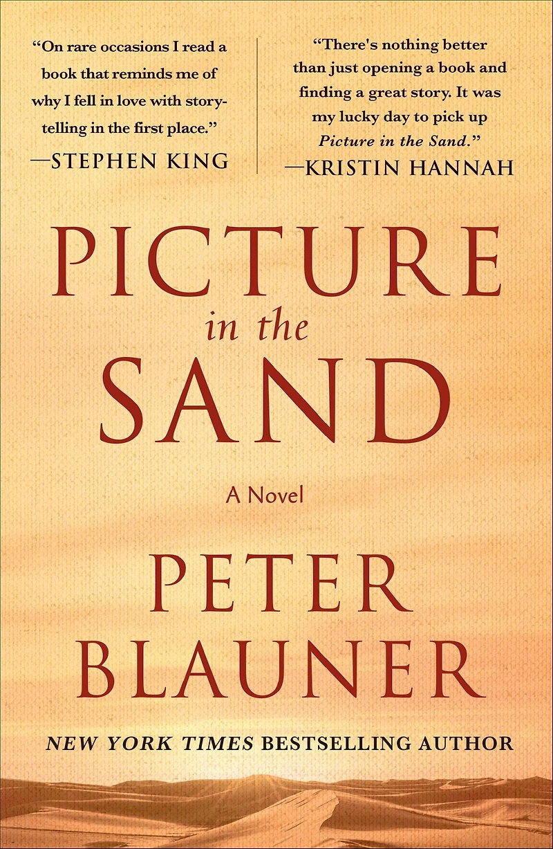 Picture the Sand: A Novel
