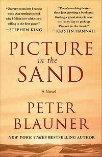 Picture the Sand: A Novel