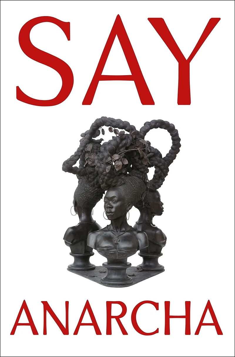 Say Anarcha: a Young Woman, Devious Surgeon, and the Harrowing Birth of Modern Women's Health
