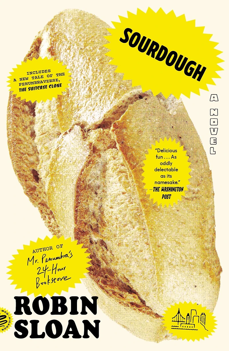 Sourdough; or, Lois and Her Adventures the Underground Market