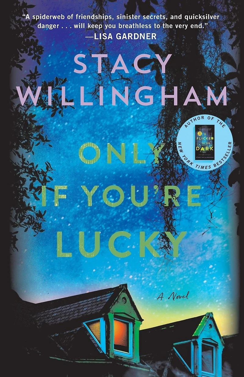 Only If You're Lucky: A Novel