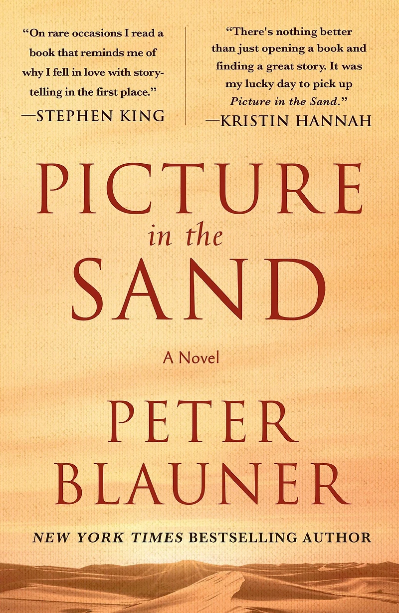 Picture the Sand: A Novel