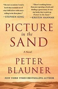 Picture the Sand: A Novel