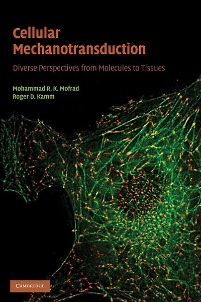 Cellular Mechanotransduction: Diverse Perspectives from Molecules to Tissues