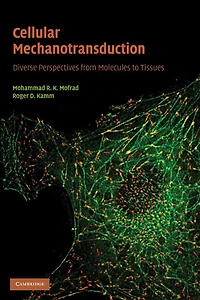 Cellular Mechanotransduction: Diverse Perspectives from Molecules to Tissues