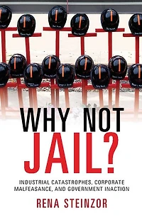 Why Not Jail?: Industrial Catastrophes, Corporate Malfeasance, and Government Inaction