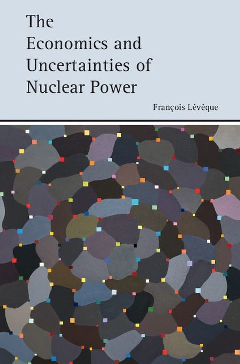 The Economics and Uncertainties of Nuclear Power
