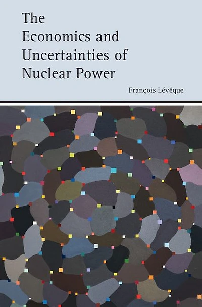 The Economics and Uncertainties of Nuclear Power