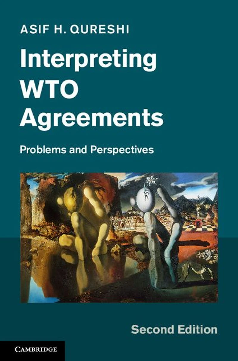 Interpreting WTO Agreements: Problems and Perspectives