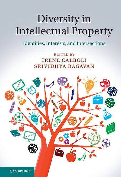 Diversity Intellectual Property: Identities, Interests, and Intersections