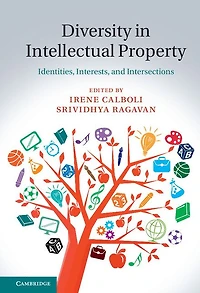 Diversity Intellectual Property: Identities, Interests, and Intersections