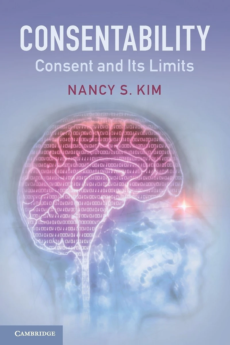 Consentability: Consent and its Limits