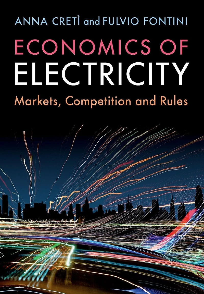 Economics of Electricity: Markets, Competition and Rules