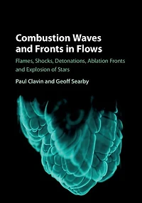 Combustion Waves and Fronts Flows: Flames, Shocks, Detonations, Ablation Explosion of Stars