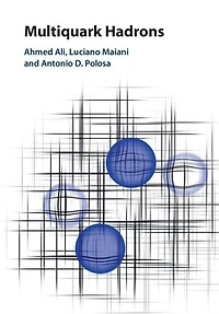 Multiquark Hadrons
