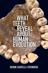 What Teeth Reveal about Human Evolution