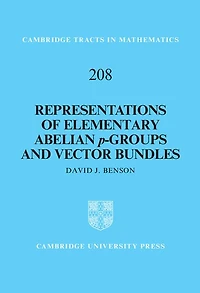 Representations of Elementary Abelian p-Groups and Vector Bundles