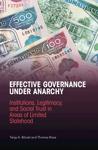 Effective Governance Under Anarchy: Institutions, Legitimacy, and Social Trust Areas of Limited Statehood