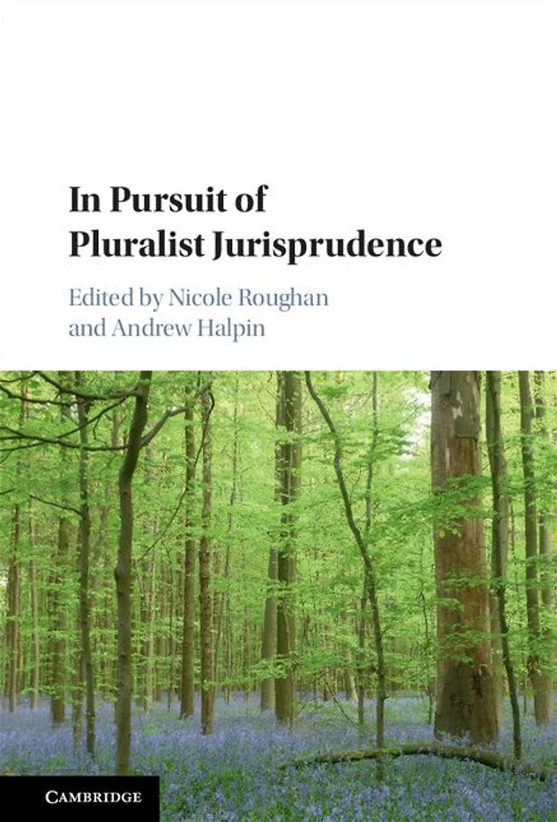Pursuit of Pluralist Jurisprudence