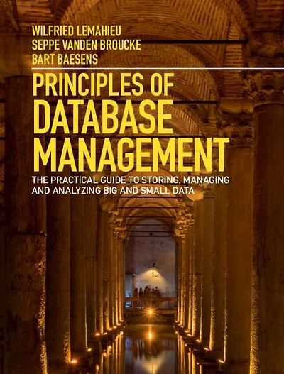 Principles of Database Management: The Practical Guide to Storing, Managing and Analyzing Big Small Data