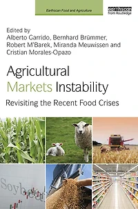 Agricultural Markets Instability: Revisiting the Recent Food Crises