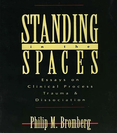Standing the Spaces: Essays on Clinical Process Trauma and Dissociation