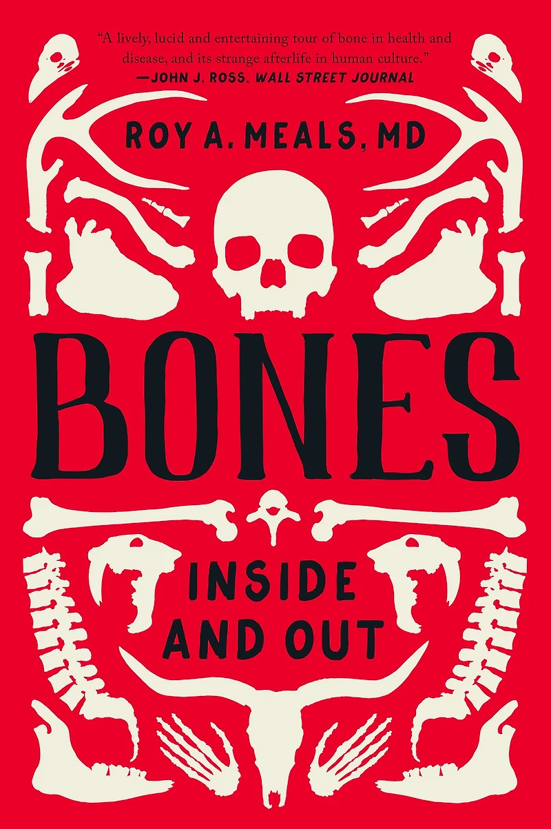 Bones: Inside and Out