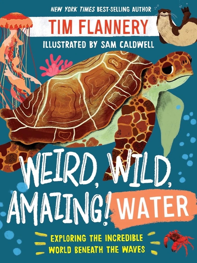 Weird, Wild, Amazing! Water: Exploring the Incredible World Beneath Waves