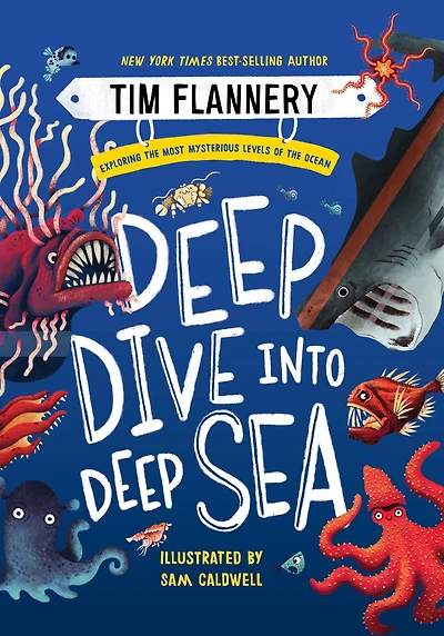 Deep Dive into Sea: Exploring the Most Mysterious Levels of Ocean