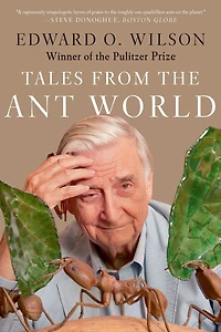 Tales from the Ant World