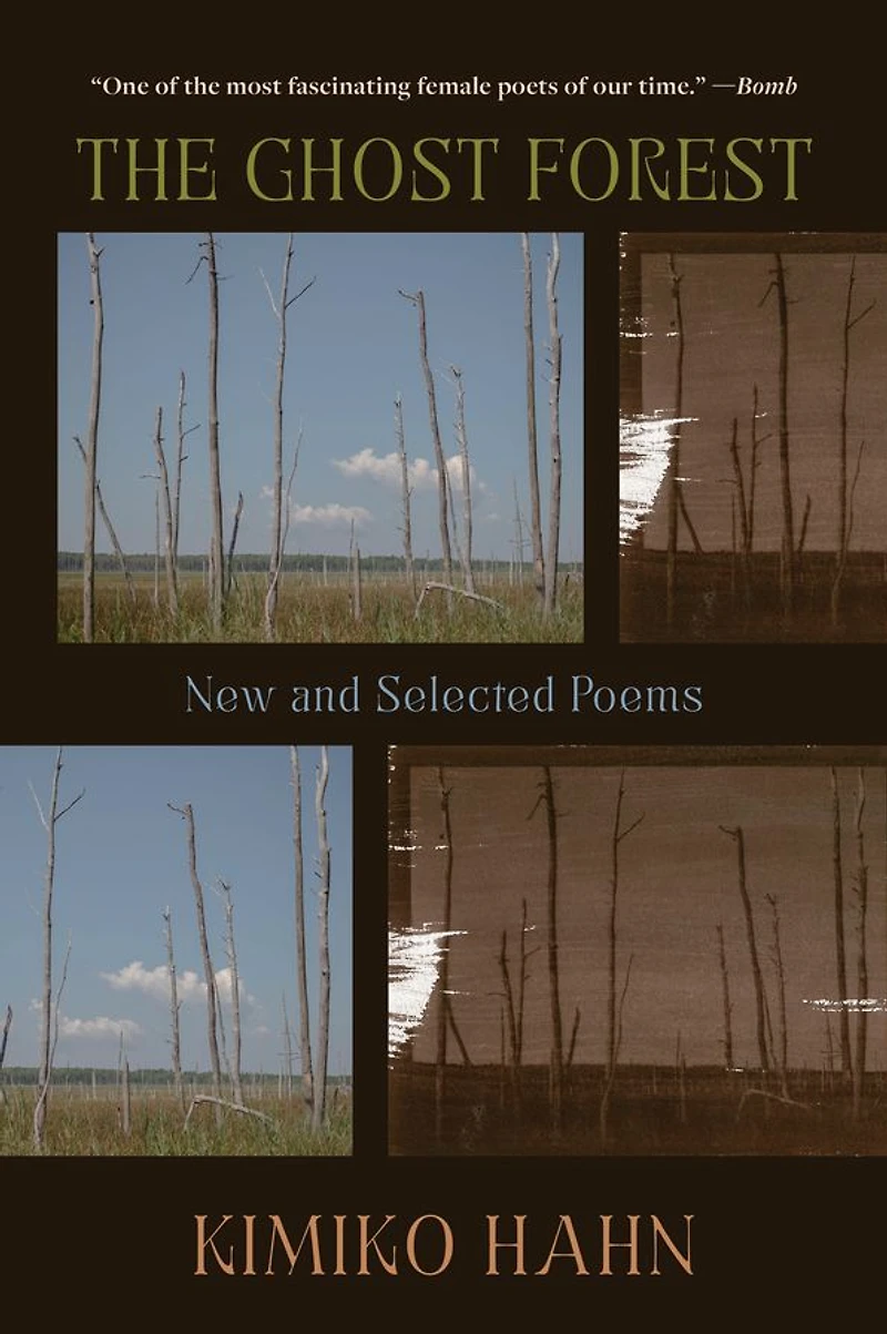 The Ghost Forest: New and Selected Poems