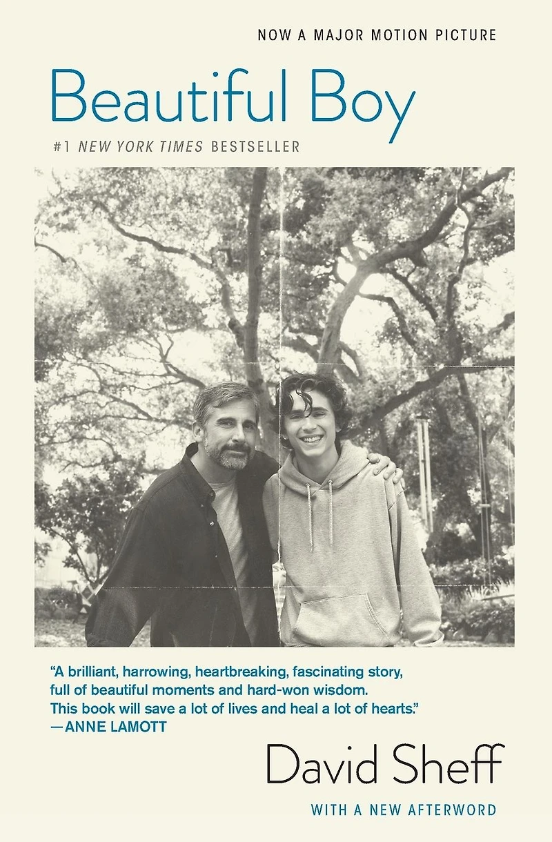 Beautiful Boy: A Father's Journey through His Son's Addiction